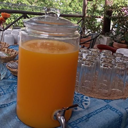 Mio Tulum Hotel Boutique Ngoại thất bức ảnh A glass dispenser of freshly squeezed orange juice